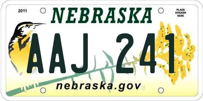 NE license plate AAJ241