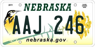 NE license plate AAJ246