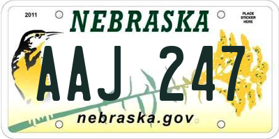 NE license plate AAJ247