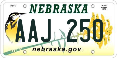 NE license plate AAJ250