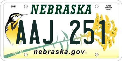 NE license plate AAJ251