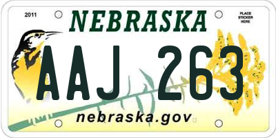 NE license plate AAJ263