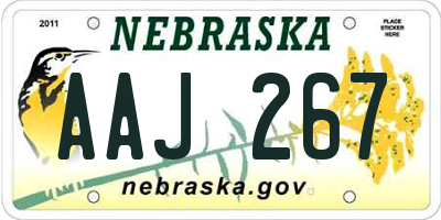 NE license plate AAJ267