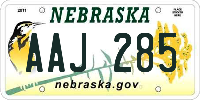 NE license plate AAJ285