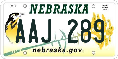 NE license plate AAJ289