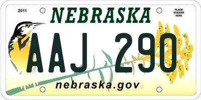 NE license plate AAJ290