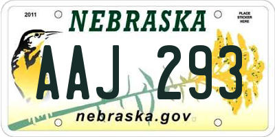 NE license plate AAJ293