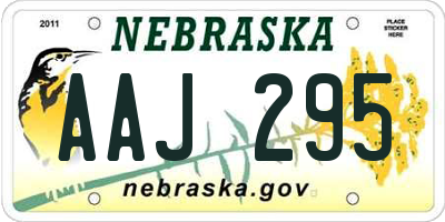 NE license plate AAJ295