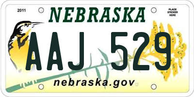 NE license plate AAJ529