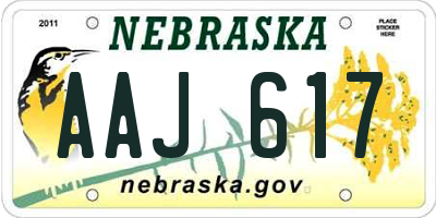 NE license plate AAJ617