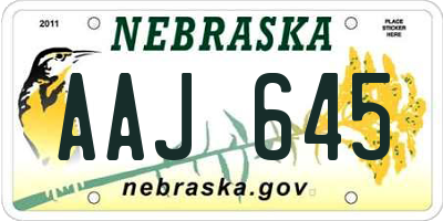 NE license plate AAJ645