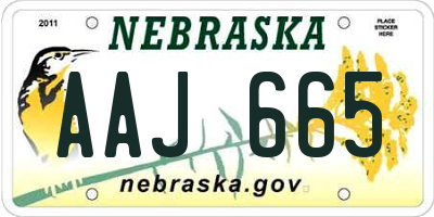 NE license plate AAJ665