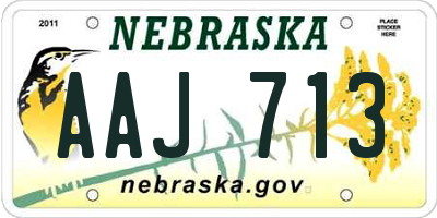 NE license plate AAJ713