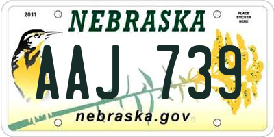 NE license plate AAJ739