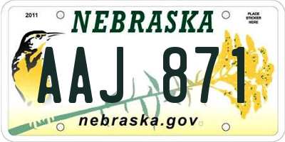 NE license plate AAJ871