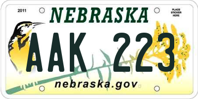 NE license plate AAK223