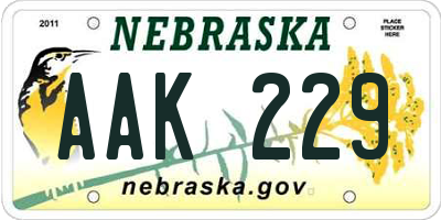 NE license plate AAK229