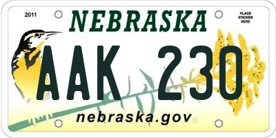 NE license plate AAK230