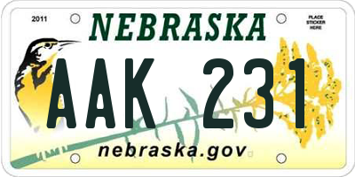 NE license plate AAK231