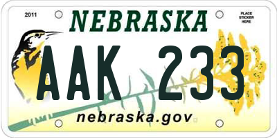 NE license plate AAK233