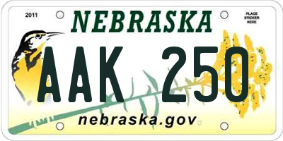 NE license plate AAK250
