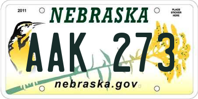 NE license plate AAK273