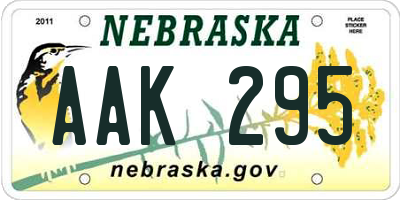 NE license plate AAK295