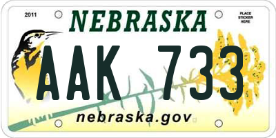 NE license plate AAK733