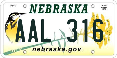 NE license plate AAL316