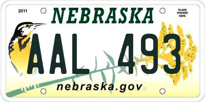 NE license plate AAL493