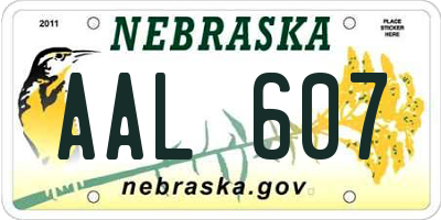 NE license plate AAL607
