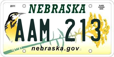 NE license plate AAM213