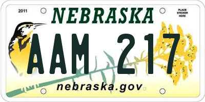 NE license plate AAM217