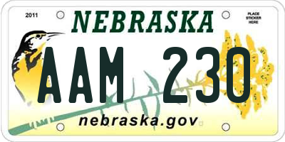 NE license plate AAM230