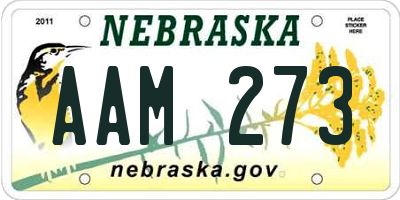 NE license plate AAM273