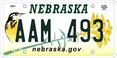 NE license plate AAM493