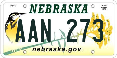 NE license plate AAN273