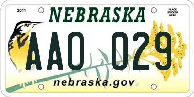NE license plate AAO029