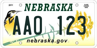 NE license plate AAO123