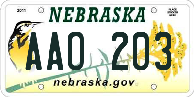 NE license plate AAO203