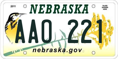 NE license plate AAO221