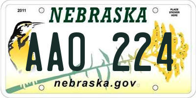 NE license plate AAO224