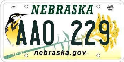 NE license plate AAO229