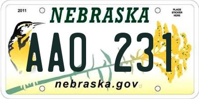 NE license plate AAO231