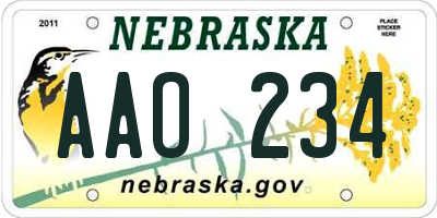 NE license plate AAO234