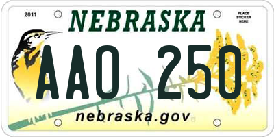 NE license plate AAO250