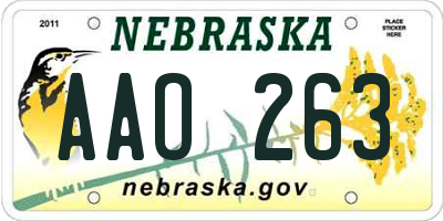 NE license plate AAO263