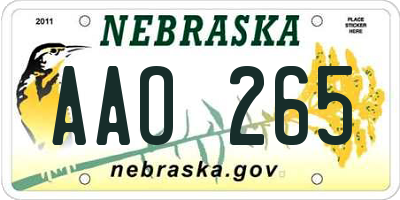 NE license plate AAO265