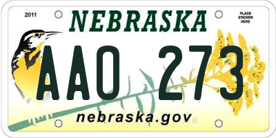 NE license plate AAO273