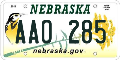 NE license plate AAO285